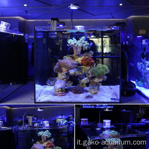 2022 Nuovo prodotto Luce d&#39;acquario a LED coralline elegante